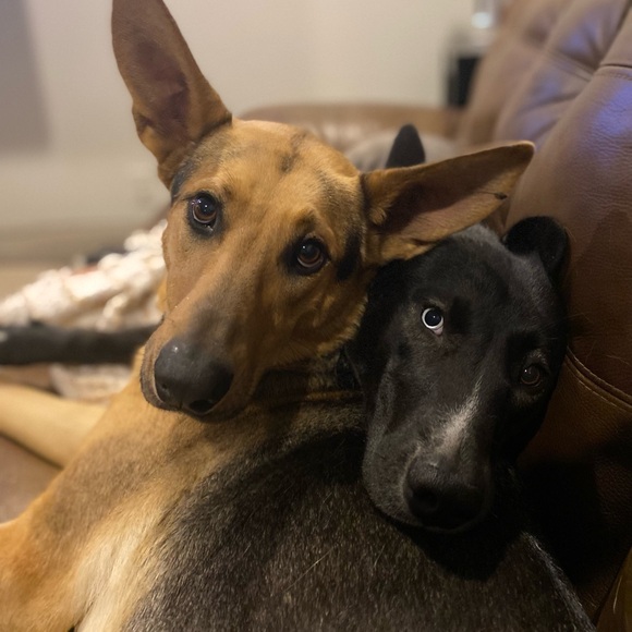 Meet your Posher, Courtney - Picture 3 of 5